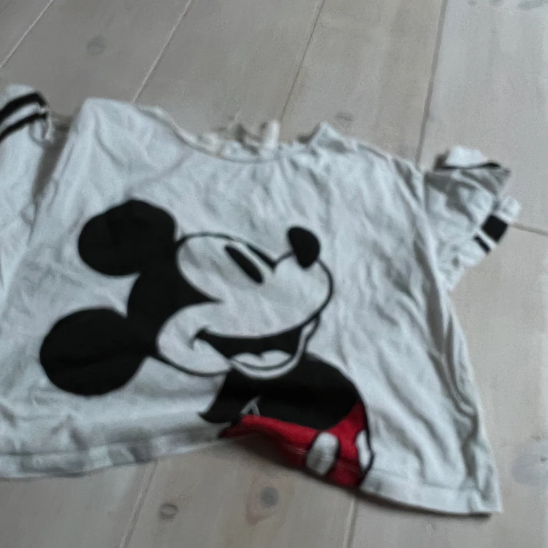 Mickey mous