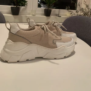 Chunky sneakers - Snygga sneakers från Roots.  Endast använd två gånger då de inte passade mina känsliga fötter.  Väldigt fräscha! Storlek 38.  Nypris 1200:-
