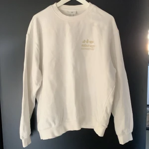 Sweatshirt med tryck - Relaxed fit (strl L) Bra skick