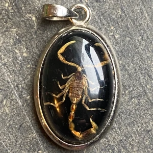 Skorpion hänge - Ett coolt hänge med en äkta skorpion inuti💗
