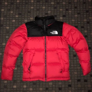 NORTH FACE NEPTUSE 1992 RETRO - NORTH FACE NEPTUSE 1992 RETRO Bra skick.