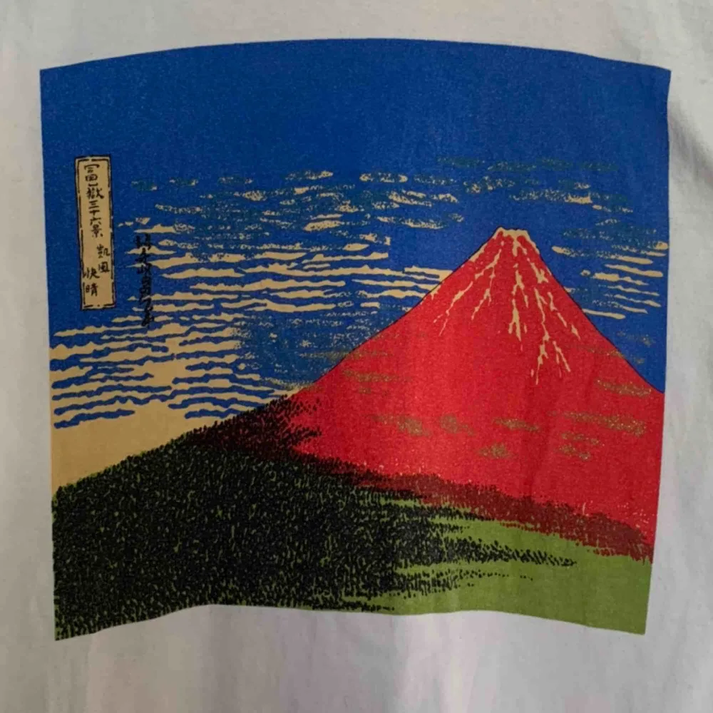 Asball tröja köpt i Tokyo. Trycket är en bild på Mt Fuji med coola detaljer.🤩 köparen står för frakt💞 . T-shirts.