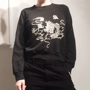  - Tjocktröja med tryck. Vintage. +35 för frakt 