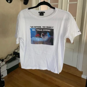 T-shirt från Zara med tryck  - Använd ca 2-3 gånger så i väldigt bra skick! 