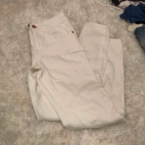  - Aldrig använda 100kr + frakt finns i Lerum