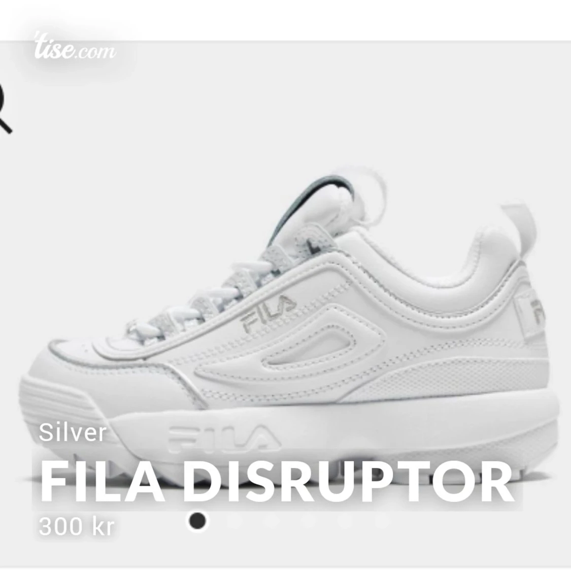 Fila disruptor silver 