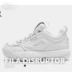 Fila disruptor silver  - Knappt använda. Nypris 1099