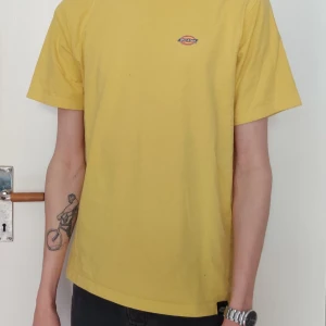 Dickies t-shirt - Fint skick sällan använd. Dessvärre en liten fläck snett vänster om loggan, syns på första bilden. 