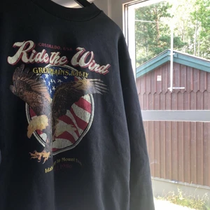 Sweatshirt - Säljer denna snygga tröja då den inte kommer till användning. Den är köpt i USA för ett tag sedan. Skulle säga att den sitter som en S. Köparen står för frakten.