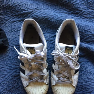  - Adidas superstars, använda och därför billigt pris