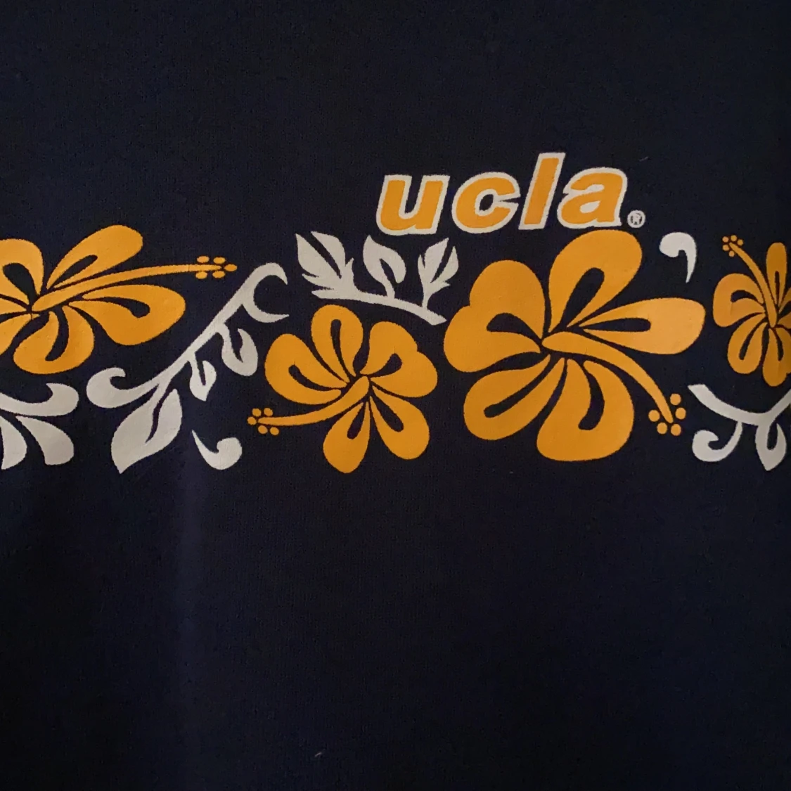 Super cool ucla hoodie! - 90