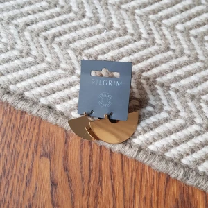  - Örhängen, oanvända. Frakt betalas av köparen 