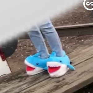 Tofflor - As coola hajtofflor som e jätte sköna att bara ha hemma eller använda i skolan eller liknande.