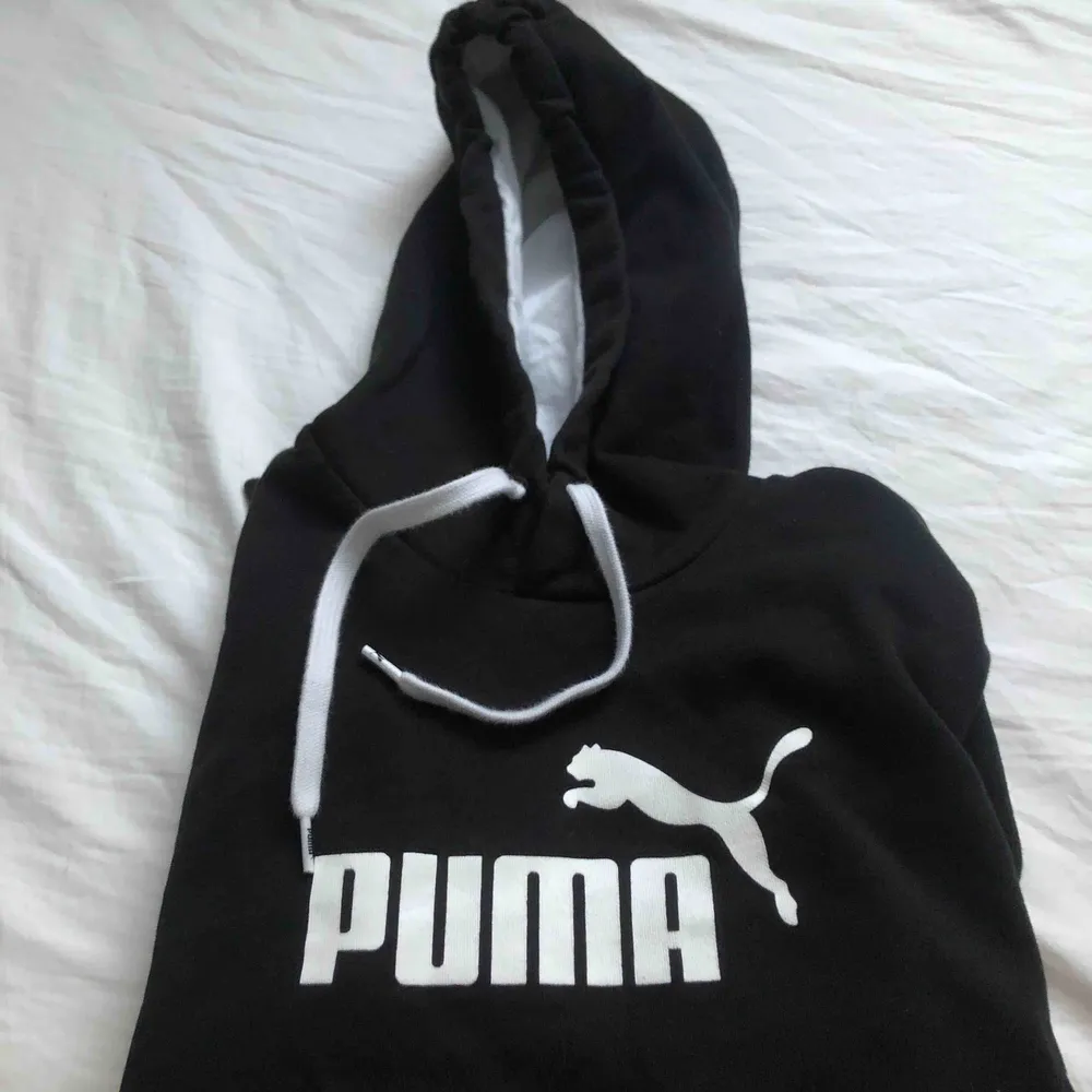 En jätte härlig puma hoodie! Använd 2 gånger, men säljer för den är för liten för mig💗 köpte den för 449kr.  Den sitter JÄTTE fint!!! . Hoodies.