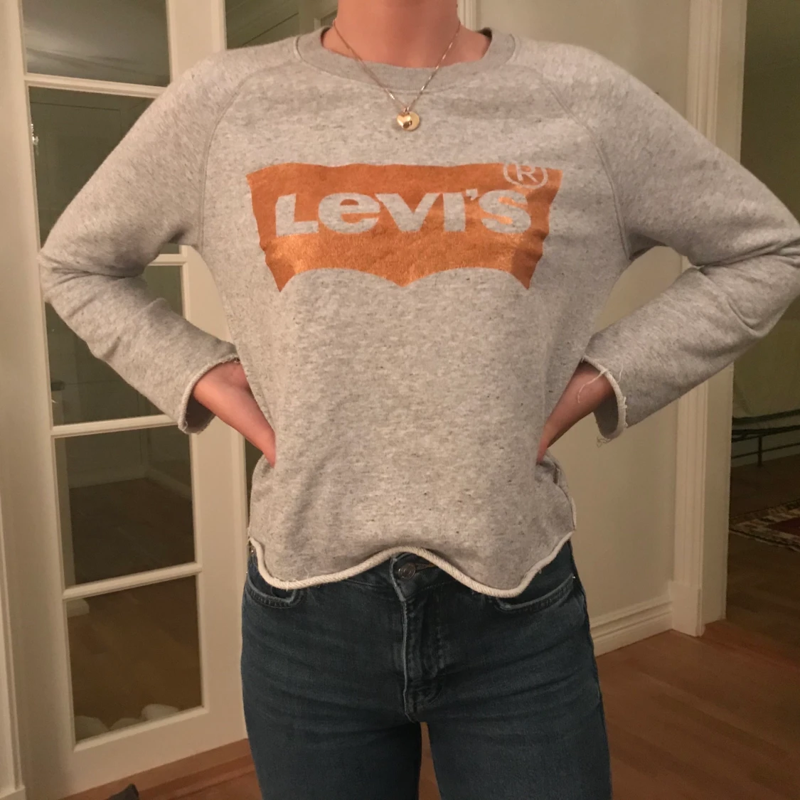 Levis collegetröja 