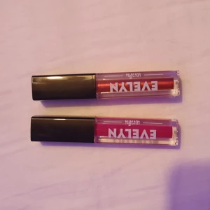 Läppglans  - Två läppglans från evelyn. Den ena i en hotpink färg och den andra i en metallisk färg. En för 25 eller två för 40, båda helt oöppnade! Priset kan diskuteras, dm vid intresse. Frakt tillkommer. 