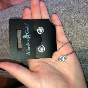 Silverhalsband  - Säljer detta sett med silver örhängen och silverhalsband. Köpt på albrekts guld för 500kr. Möts bara upp och priset går att diskutera. (Aldrig använt)