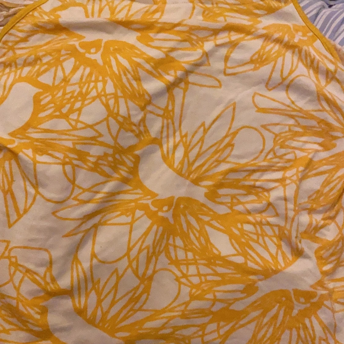 Solliv soltopp solig urskön