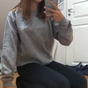 Champion hoddie - Säljer denna champion hoddie som är lite Oversized för mig som är ungefär st 34! Super mysig säljer för 200 men kan prutas ner lite ! Buda i kommentarerna 