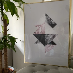 Tavlor med guldram - Två tavlor med guldramar från desenio. Tavlorna är 1 år gamla och ser ut som nya. 500 för båda, 250 kr styck.