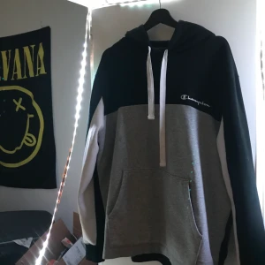 Hoodie - Champion hoodie, otroligt bra skick! Köpt för cirka ett år sedan! Köparen står för frakt och meddela om du har frågor!