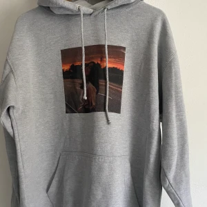 Hoddie - Egen designad hoddie den är alltså helt unik. Grå oversize hoddie. Fortfarande i ett mycket bra skick med ett fint motiv framtill på en tjej vid en solnedgång     Köparen står för frakten⭐️