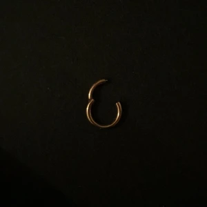  - Septum segmentering med smidigt clickerlås. 1.2 mm tjock och 6 mm i diameter. Materialet är PVD Gold steel. Väldigt enkel att öppna och stänga och sitter väldigt fint. Ord.pris cirka 100kr. 