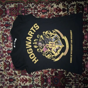 Harry Potter t-shirt - T-shirt i bra begagnat skick. Mindre medium. Frakt ingår i priset