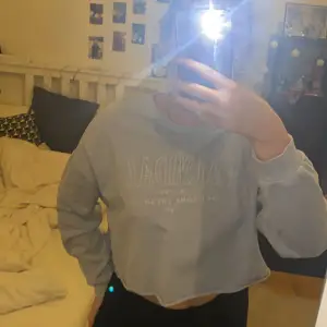 Ljusblå/grå hoodie från Pull & Bear med trycket ”Palmdale” över bröstet. Den är lite lite croppad och oversized. Jättefin hoodie som nästan aldrig är använd, precis som ny! 