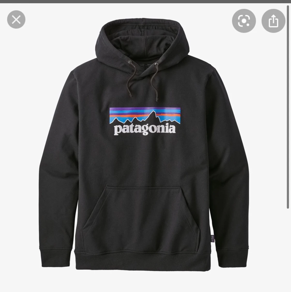 Patagonia hoodie 