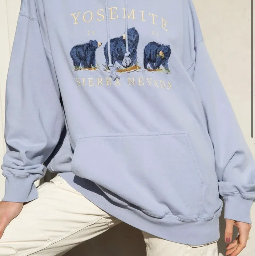 Brandy Melville hoodie one size. Aldrig använd för den inte riktigt var min stil. 400kr. Hoodies.