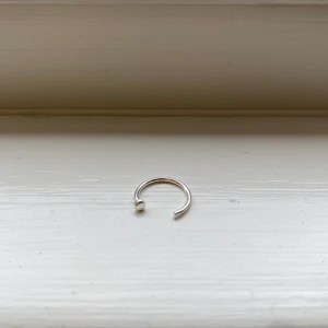 Näspiercing - Helt oanvänd näspiercing. Tvättas såklart innan eventuellt köp!🥰