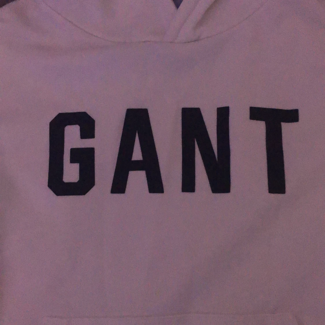 Gant hoodie  - 90