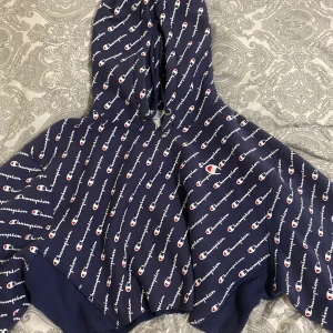 Champion x UrbanOutfitters cropped Hoodie - Super stylish cropped hoodie by champion. Very rare I don’t think you can find this particular design in stores anymore. I bought it from Urban Outfitters in CA. Price is negotiable ❤️