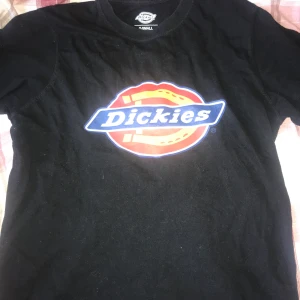 Dickies T-shirt - Knappt använd T-shirt, den är som ny!✨ frakten ingår i priset! 