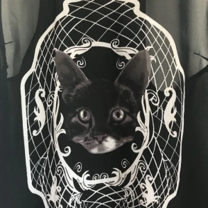  - Mesh-igt kattlinne köpt på hm för ett par år sedan.