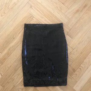  - Paljett pennkjol från Rodebjer.  Strl XS - S   Priset går att förhandla vid snabb affär