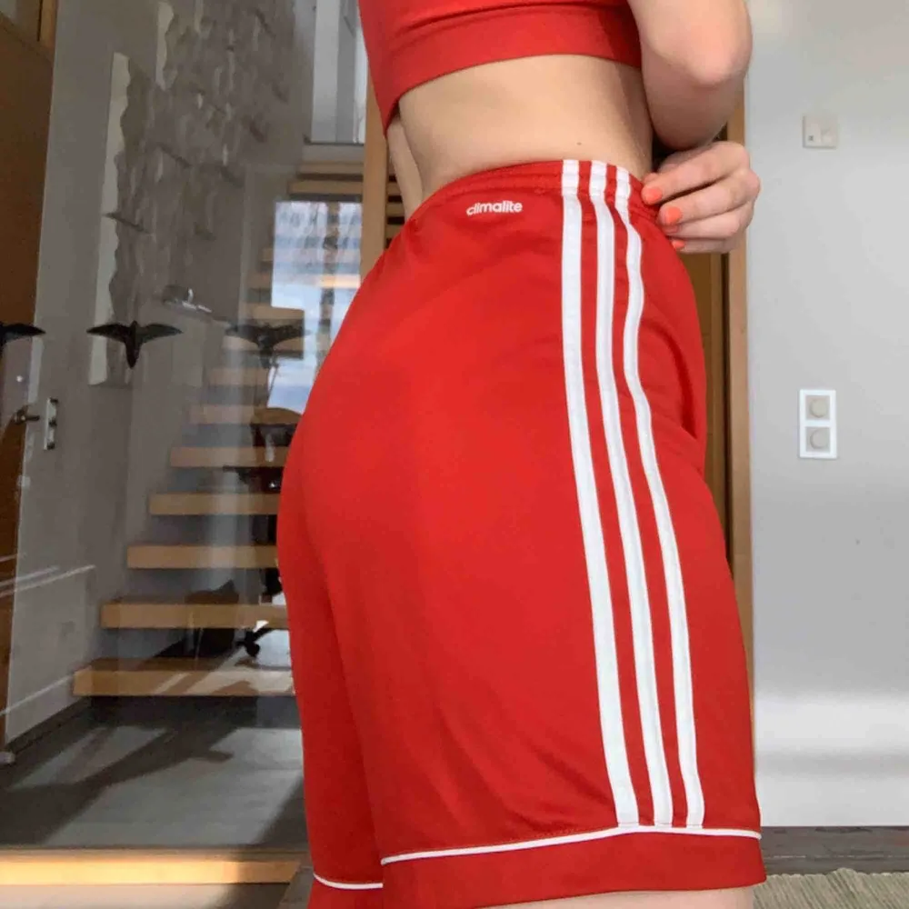 Adidas red soccer shorts — meet up in stockholm or pay for shipping 💞. Shorts.