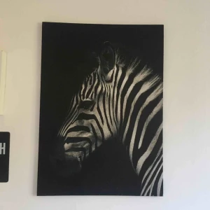  - Zebra tavla. Ord. pris 100kr, väldigt fin och ren. 60kr + frakt, priset kan diskuteras