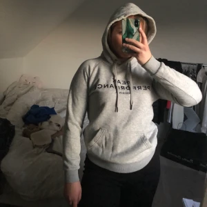 Peak hoodie - grå, bra skick, pris kan diskuteras o frakt inkluderas