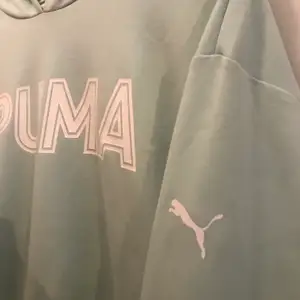 Säljer en tröja från Puma. Jättefin mintgrön färg. Använd endast ett fåtal gånger, nyskick! Kan användas både till träning och till vardags. Storlek M men passar även S.Köpt för 599kr. Säljes för 200kr