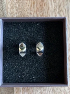 Edblad Peak Rivet Creoles örhängen  - Helt nya fick dem i julklapp!! Postar snabbt💗