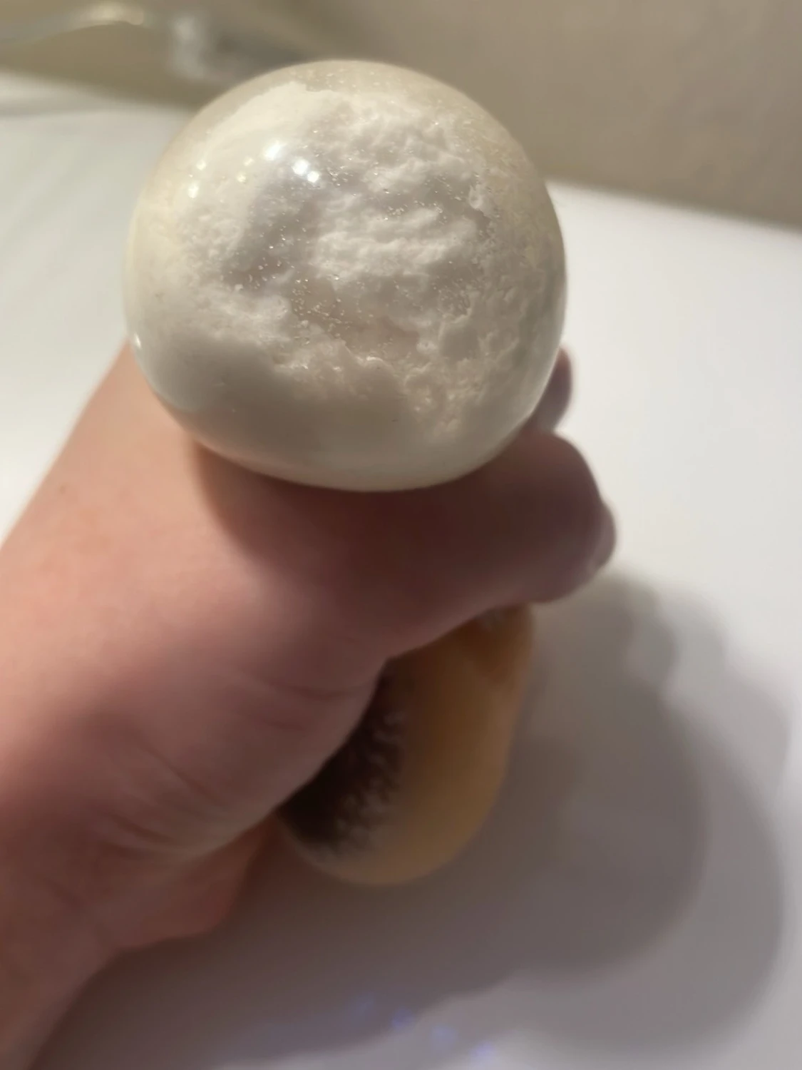 Kapybara squishy  - 5