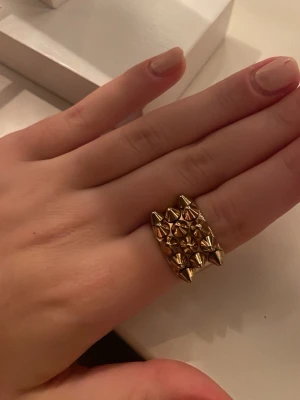 edblad ring - populrä guldfärgad ring med nitar från edblad