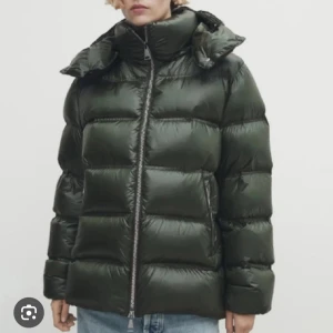 Grön vinterjacka massimo dutti  - Säljer mig gröna Massimo dutti jacka använt en vinter! Storlek XS