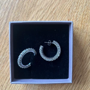 Glittriga silverörhängen i hoops-modell - Säljer ett par snygga hoops i silverfärg med glittrande stenar runt hela örhänget från Edblad. Aldrig använda!