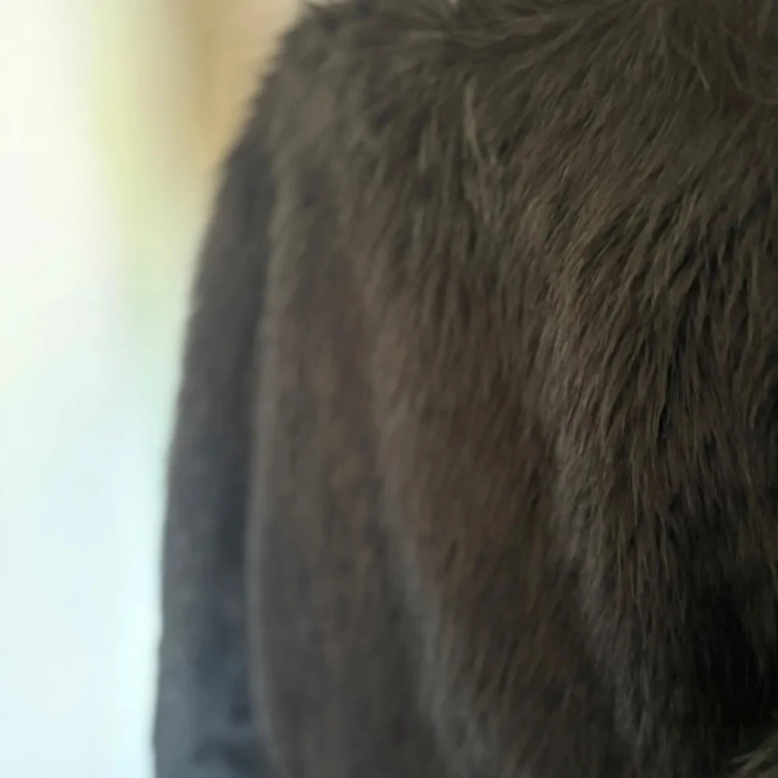 Svart pälsjacka - 3