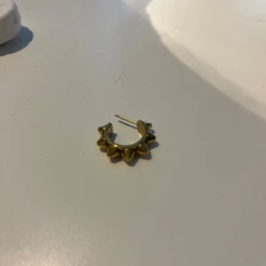 Edblad örhänge - Hej! Säljer detta örhänge då jag tyvärr råkat tappa bort mitt andra. Om någon har gjort samma som mig och bara har ett örhänge men vill ha ett till så har jag ett😅