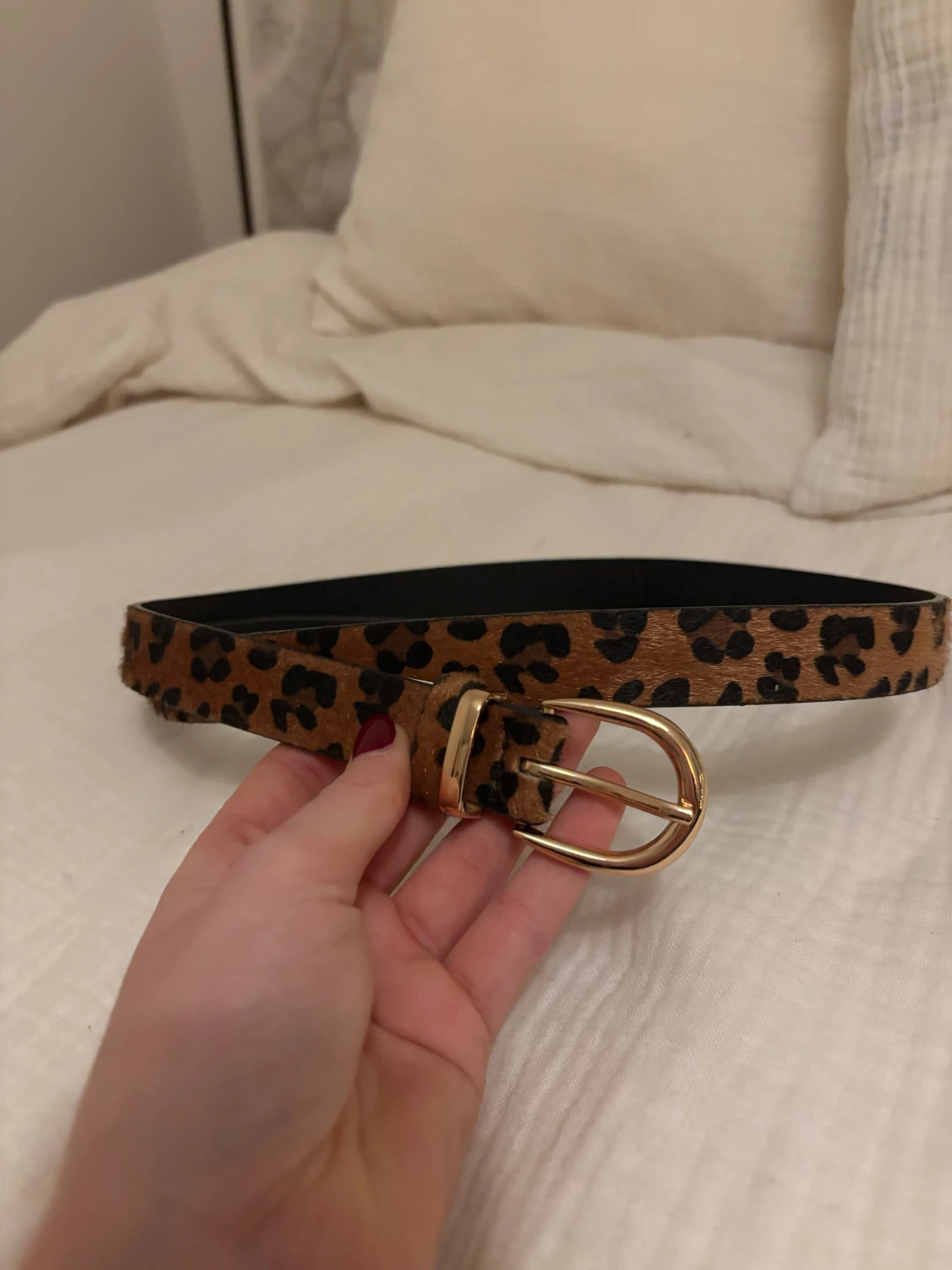 Leopard skärp  - 1
