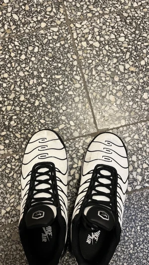 Nike Air Max Plus Tn svart/vit - Säljer ett par Nike Air Max Plus Tn i svart och vitt med ikoniska vågmönster och synlig Air-dämpning i sulan. Skorna har snörning, mesh- och syntetmaterial samt Tn Air-logga på hälen. Perfekta för dig som vill sticka ut med en klassisk sneaker. De är ungefär 1-2 veckor gamla därför säljer jag de för 1700 nytt pris 2000-3000 men printer kan sänkas vid snabbaffär storleken är 43 men passar om man är 42 tyvärr finns ingen box eftersom den är slängd 